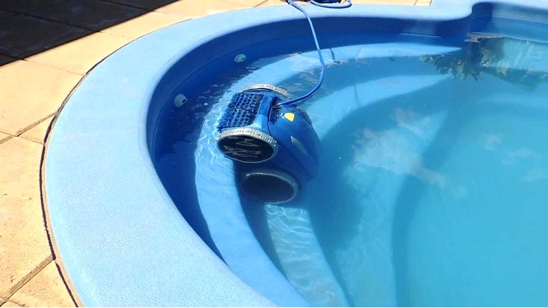 How to get rid of green water in your pool